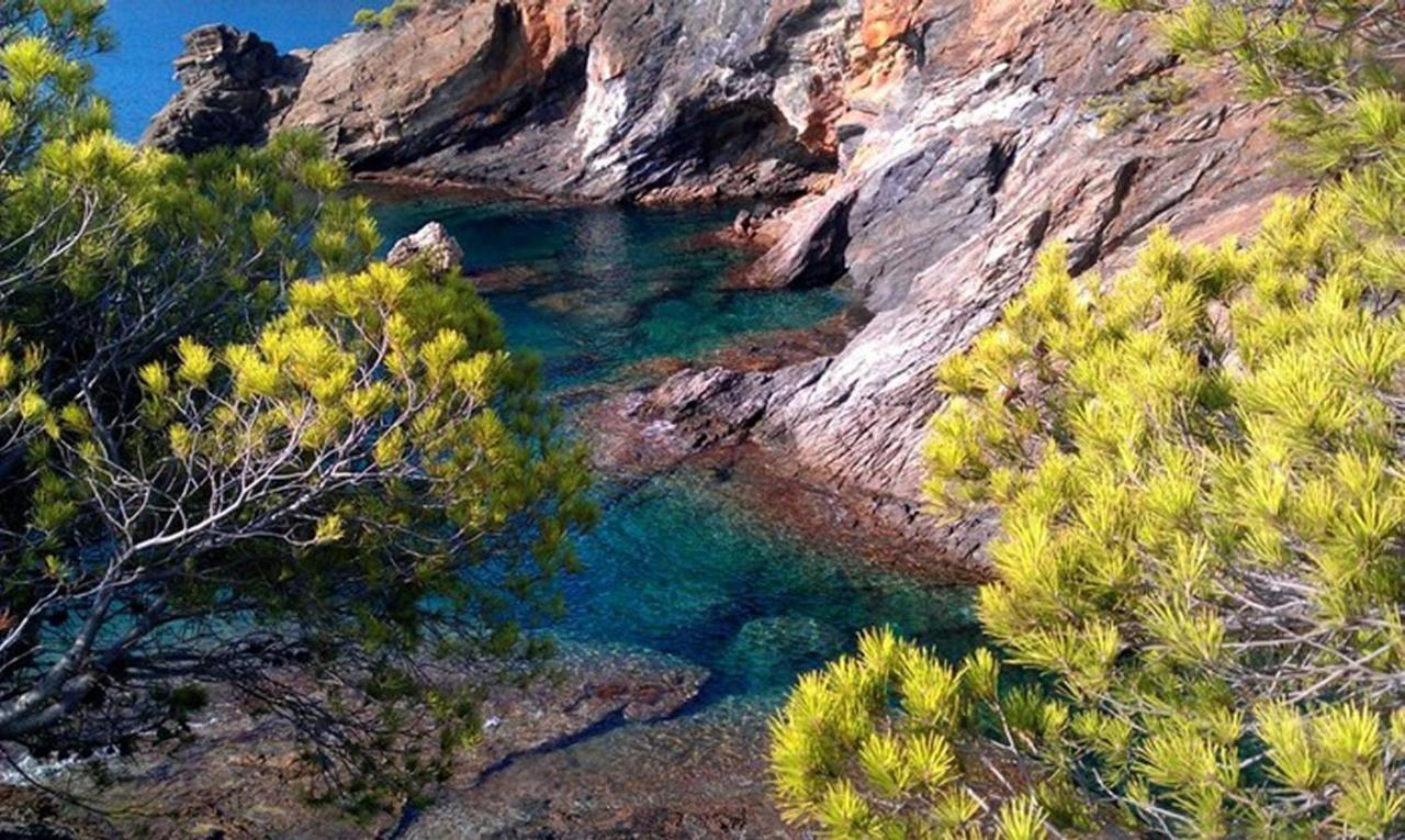Splendido Studio, Vista Mare, A 5Mn Dalla Spiaggia - Casa Artevida Roses Exterior foto